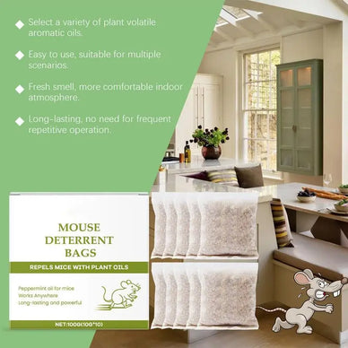 "Reclaim Your Home, Breathe Easy Again"