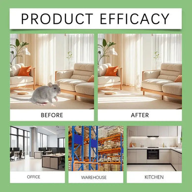 "Reclaim Your Home, Breathe Easy Again"